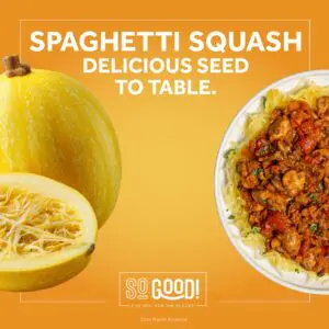 Squash